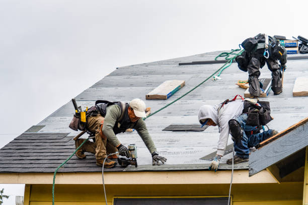 Professional Gutter Installation technician working in Woodland, MS